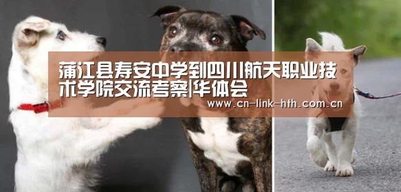 蒲江县寿安中学到四川航天职业技术学院交流考察|华体会(图2) 华体会登录