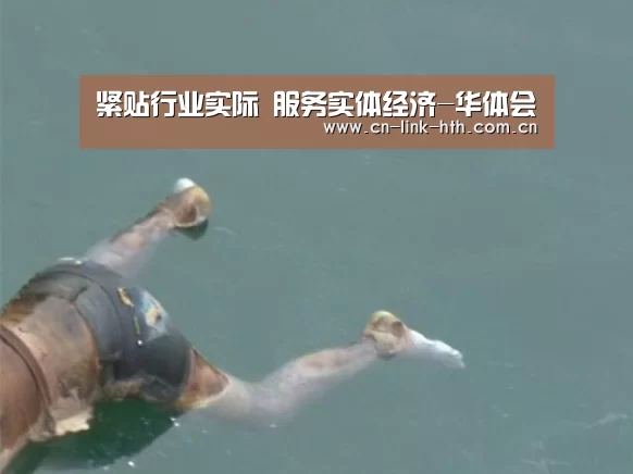 华体会官网