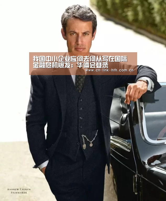 我国中小企业应何去何从写在国际金融危机爆发:华体会登录(图4) 华体会登录