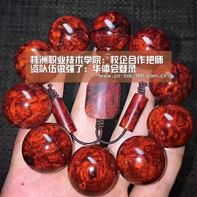 株洲职业技术学院:校企合作把师资队伍做强了:华体会登录(图1) 华体会